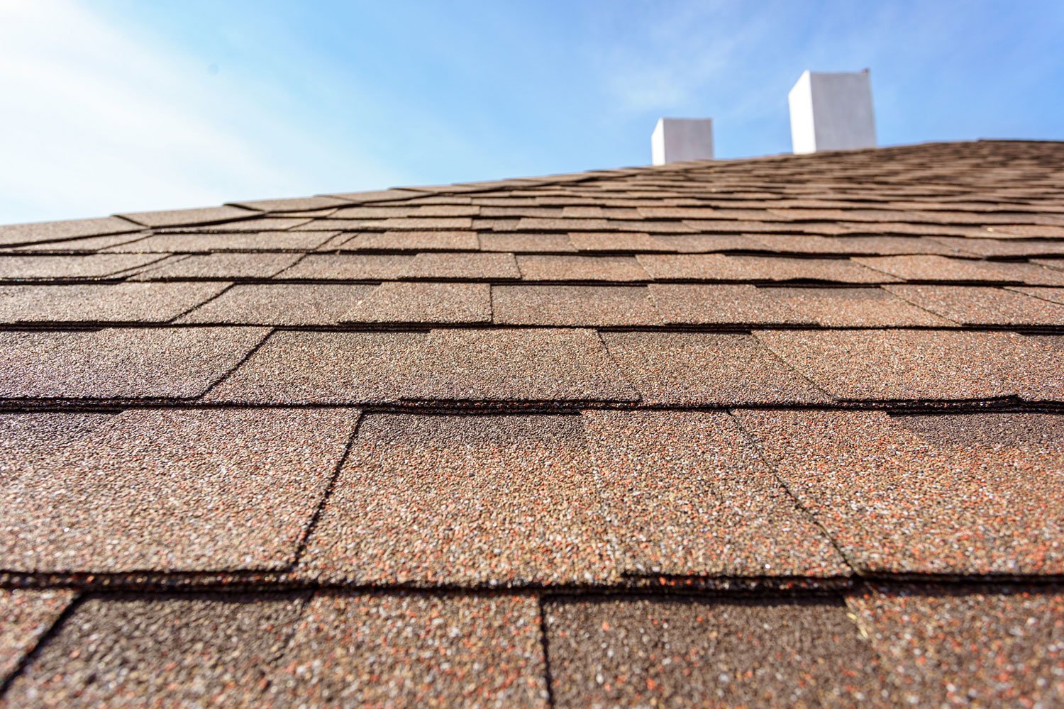 asphalt shingle roof