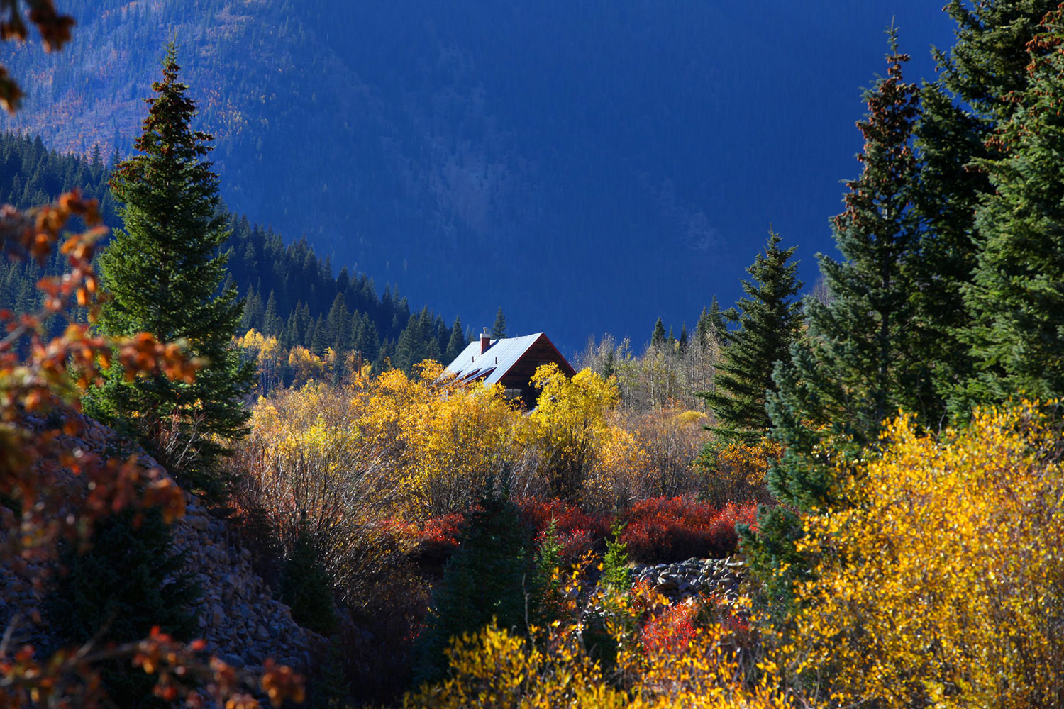 homeowners in a remote part of Colorado