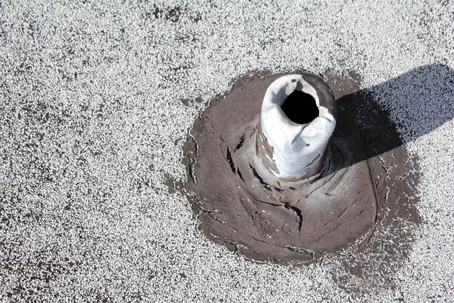 this roof needs repair services